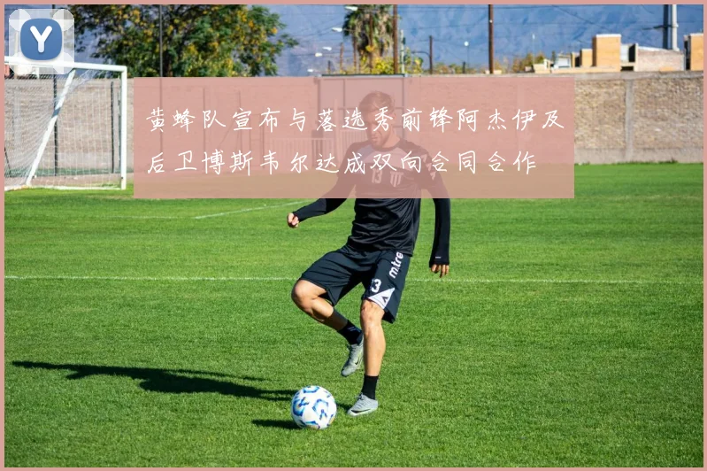 黄蜂队宣布与落选秀前锋阿杰伊及后卫博斯韦尔达成双向合同合作